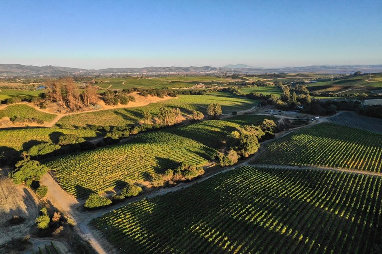 Skylight | Hudson Ranch & Vineyards